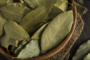 Bay Leaves | Premium Natural Herb for Cooking, Flavor &amp | Healthy Living