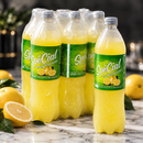 Spécial Pamplemousse Sparkling Grapefruit Drink (6 x 1L) | FREE Shipping USA