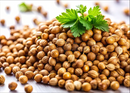 Coriander Seeds Herb | Premium Natural Spice for Cooking, Wellness &amp | Healthy Living