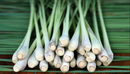 Lemongrass Herb – Premium Natural Herbal Tea &amp; Cooking Herb for Wellness
