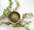 Marjoram Herb | Premium Natural Herb for Cooking | Herbal Tea & Wellness
