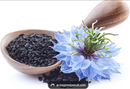 Nigella Sativa | Premium Black Seed Herb for Wellness, Nutrition &amp | Healthy Living