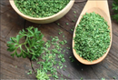 Parsley Herb | Premium Natural Herb for Cooking, Garnish &amp | Healthy Living