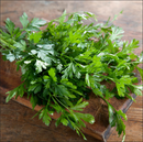 Parsley Herb | Premium Natural Herb for Cooking, Garnish &amp | Healthy Living