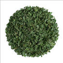Peppermint Herb | Premium Natural Herbal Tea for Refreshment, Digestion &amp| Wellness