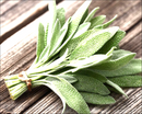 Sage Herb | Premium Natural Herbal Tea for Wellness, Relaxation &amp| Healthy Living