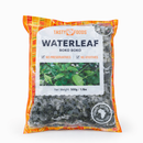 WaterLeaf-AfroAsia