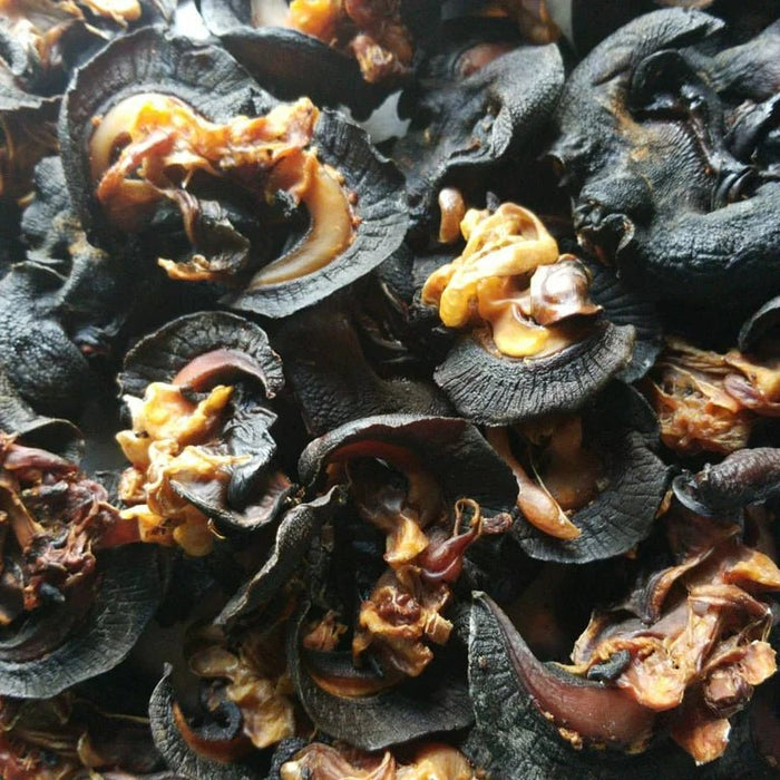 Frozen Fresh Jumbo Snail | Premium African