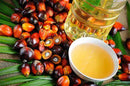 Kernel Palm Oil - AfroAsiaa