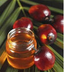 Kernel Palm Oil - AfroAsiaa