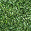 Okazi/Eru - AfroAsiaa