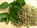 Oregano Herb | Premium Natural Herb for Cooking, Seasoning &amp | Wellness