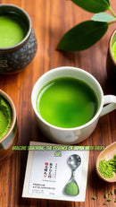 Tea Bag Sen-Cha | 100 Count – Premium Japanese Green Tea