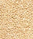 Raw Peeled Peanuts - AfroAsiaa