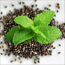Spearmint Herb | Premium Natural Herbal Tea for Refreshment, Digestion &amp | Wellness