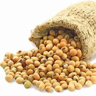 Yellow Beans | Mbambara Grountnut - AfroAsiaa